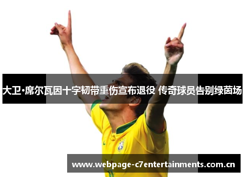 大卫·席尔瓦因十字韧带重伤宣布退役 传奇球员告别绿茵场 大卫·席尔瓦因十字韧带重伤宣布退役 传奇球员告别绿茵场
