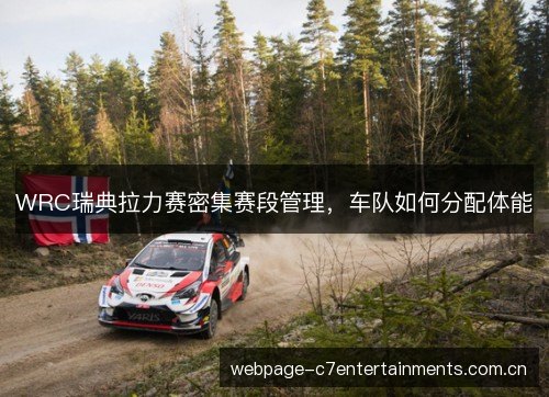 WRC瑞典拉力赛密集赛段管理，车队如何分配体能